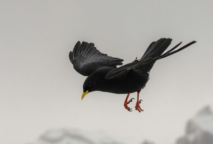 How to Build an Emergency Fund Without Stress